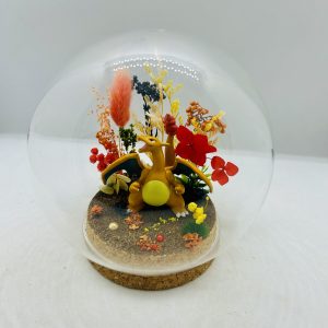 Pokemon - Dracaufeu (Bulle)